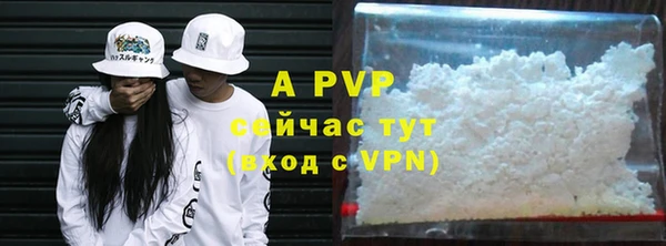 стафф Абинск