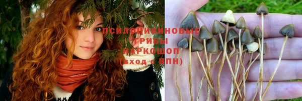 стафф Абинск