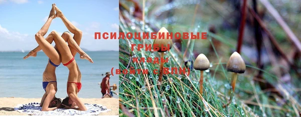 скорость Алзамай