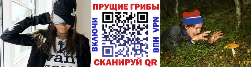 Псилоцибиновые грибы Magic Shrooms  Пыталово 